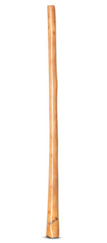 Wix Stix Didgeridoo (WS102)